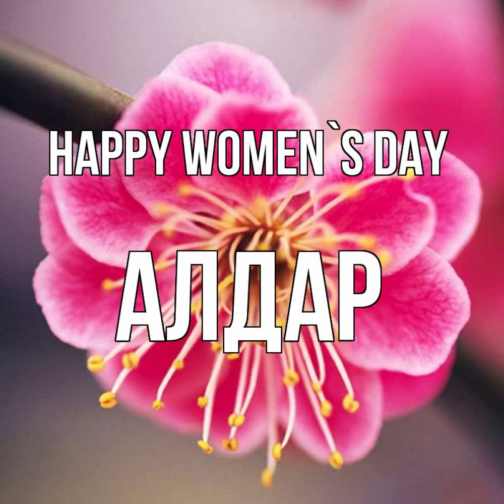 Greetings card с именем, Алдар happy women`s day цветы Greetings with text for free download 